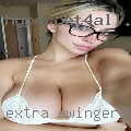 Extra swinger